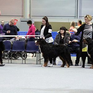 IMG_8596