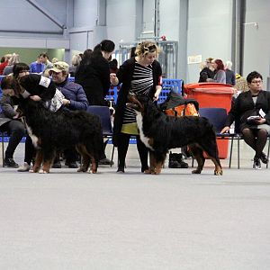 IMG_8600