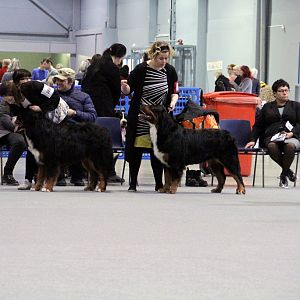 IMG_8601