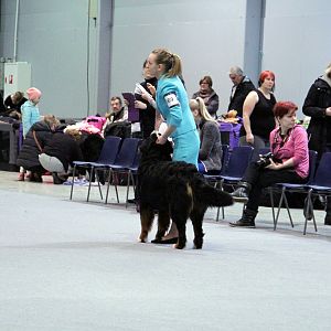 IMG_8607