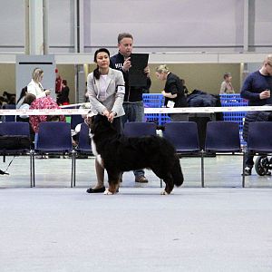 IMG_8608