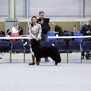IMG_8609