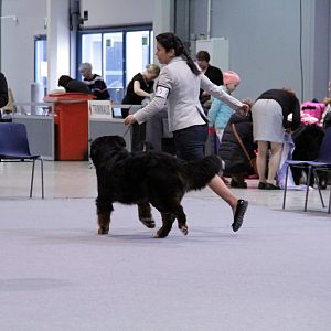 IMG_8611