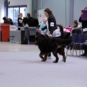 IMG_8615