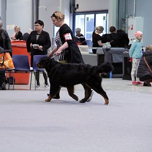 IMG_8616