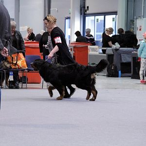 IMG_8617
