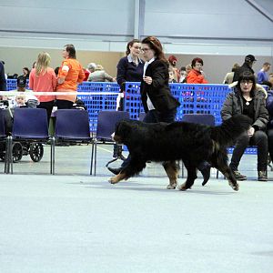 IMG_8618