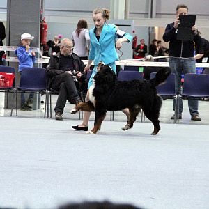 IMG_8620
