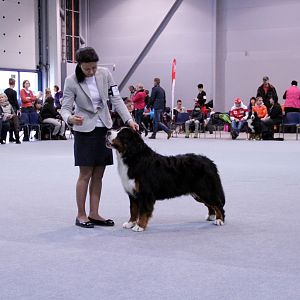 IMG_8625