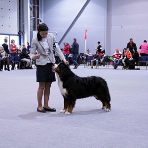 IMG_8626