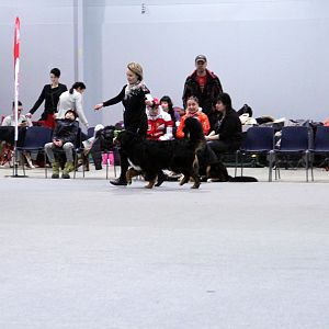 IMG_8631