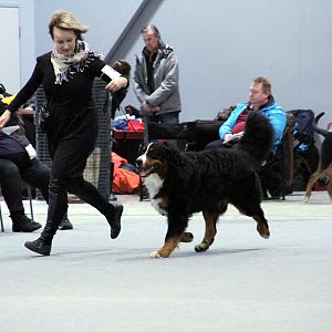IMG_8632