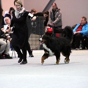 IMG_8633