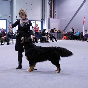 IMG_8636