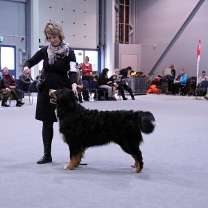 IMG_8637