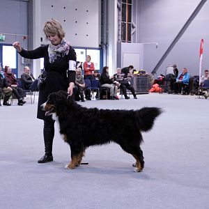 IMG_8638