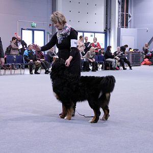 IMG_8639