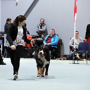 IMG_8646