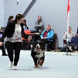 IMG_8647