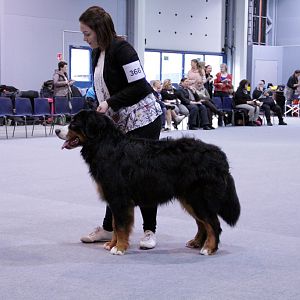 IMG_8652