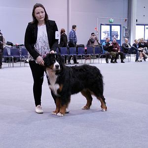 IMG_8661