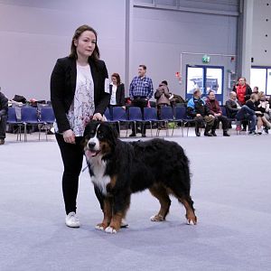 IMG_8662