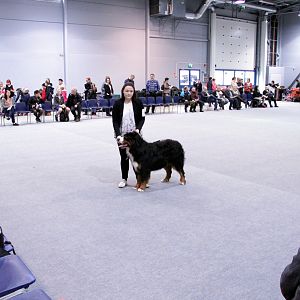 IMG_8665