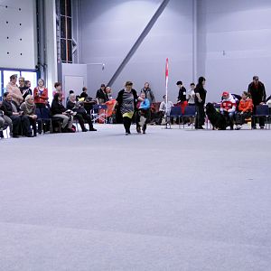 IMG_8668