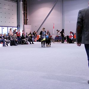 IMG_8669