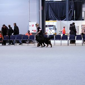 IMG_8672