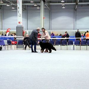 IMG_8572