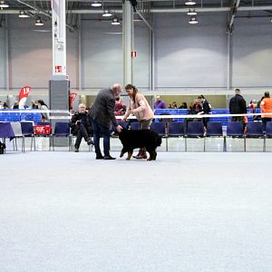 IMG_8573
