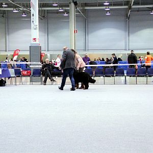 IMG_8574