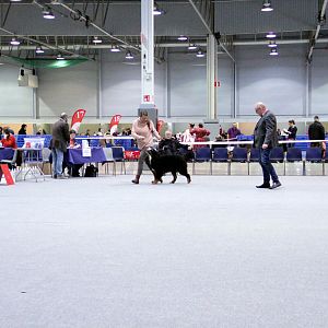 IMG_8575
