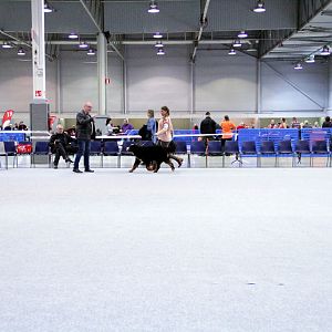 IMG_8577
