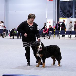 IMG_8584