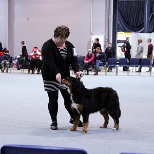 IMG_8585