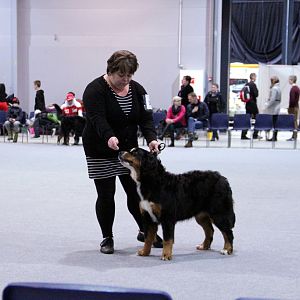 IMG_8586