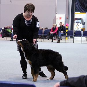 IMG_8587