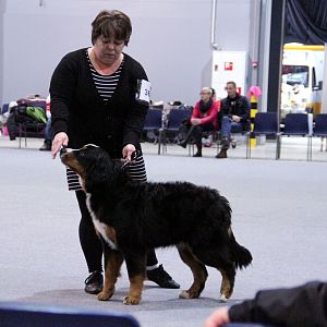 IMG_8588