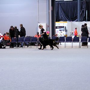 IMG_8673