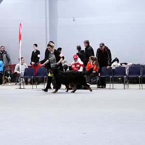 IMG_8674