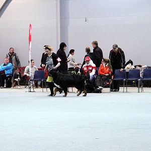IMG_8675