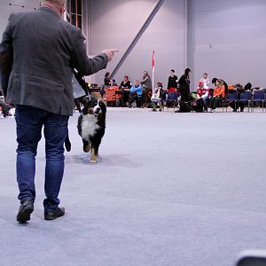 IMG_8692