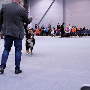 IMG_8693
