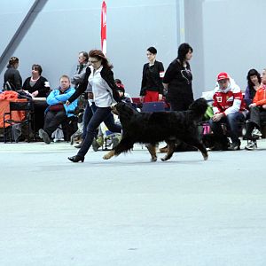 IMG_8694