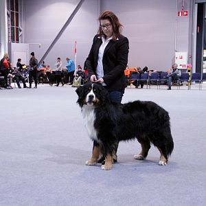 IMG_8709