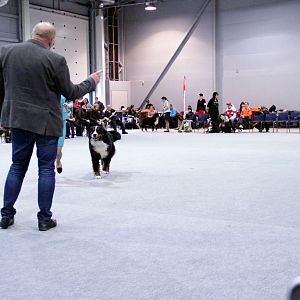 IMG_8710