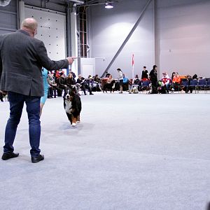 IMG_8711
