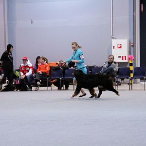 IMG_8713